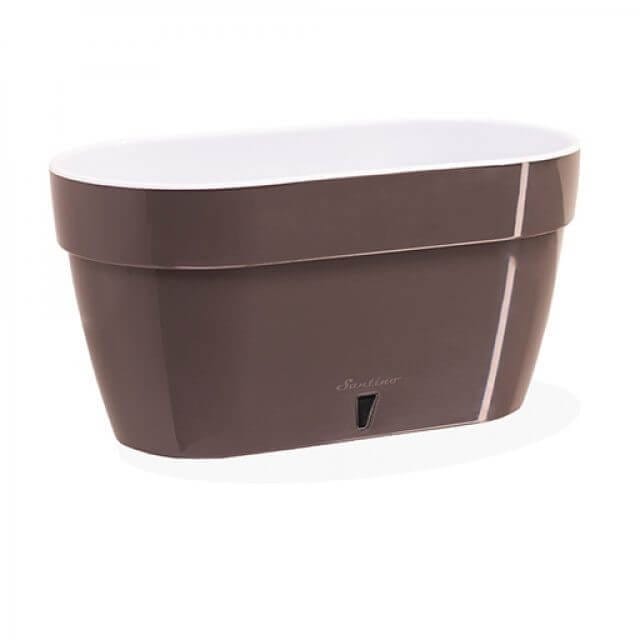 LOVELIS ASTI RUDAS, 50CM