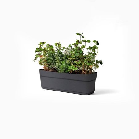 LOVELIS BLOOM 60CM JUODAS SU VANDENS REZERVUARU