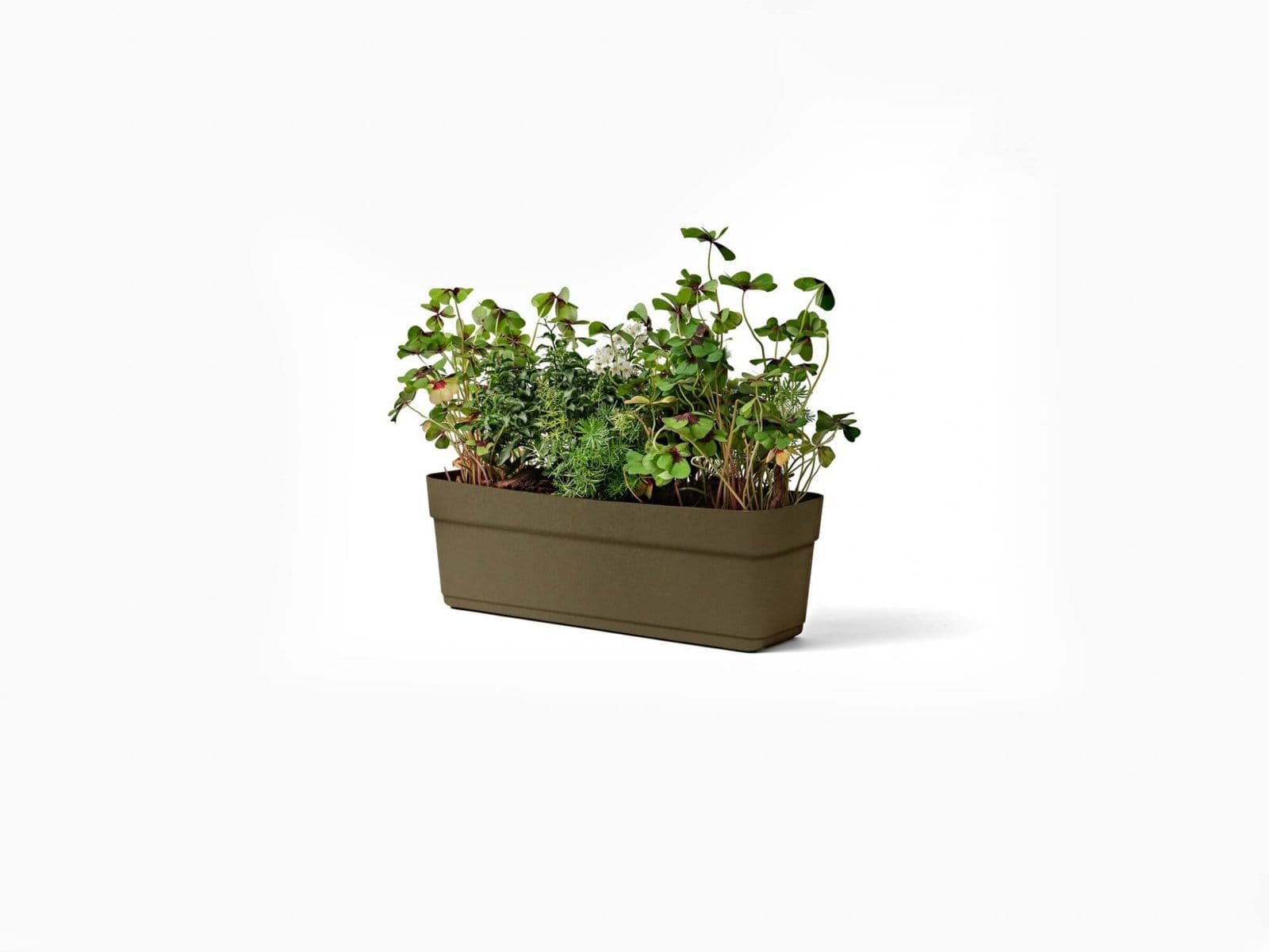 LOVELIS BLOOM 60CM RUDAS SU VANDENS REZERVUARU