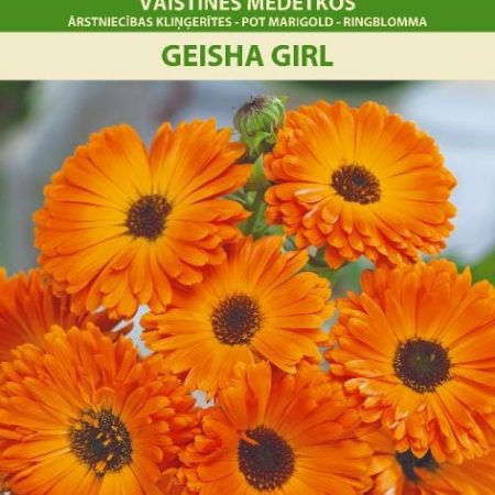 MEDETKOS VAISTINĖS GEISHA GIRL