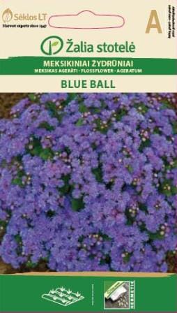 MEKSIKINIAI ŽYDRŪNIAI BLUE BALL