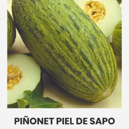MELIONAI PIÑONET PIEL DE SAPO