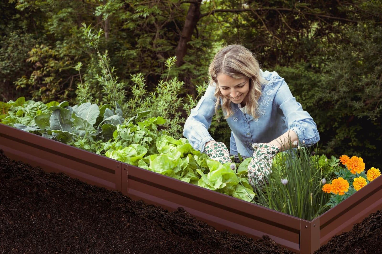 METALINĖ LYSVĖ AGRONOM (N), RUDA, 300X65X20CM - Image 3