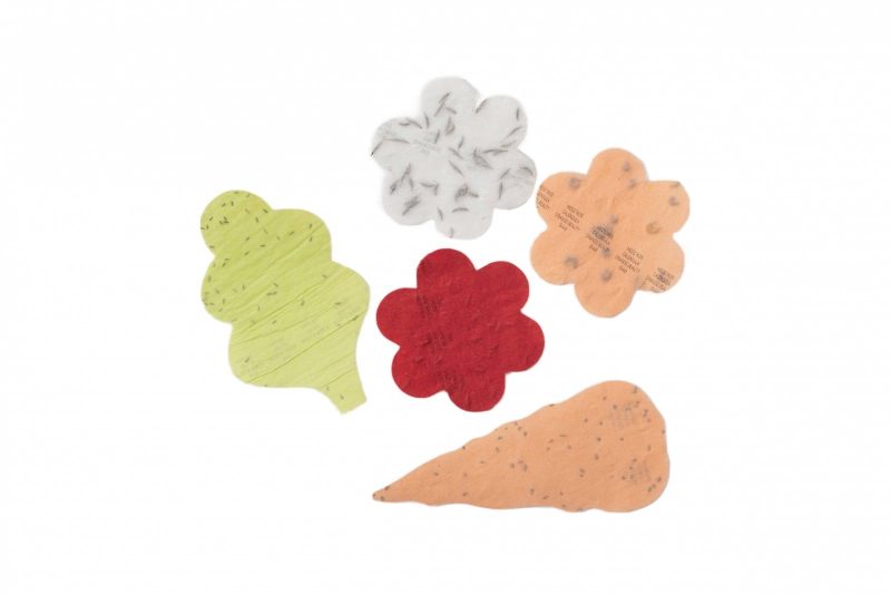 MINI AUGINIMO RINKINYS KAKĖ MAKĖ SODOLENDAS - Image 3