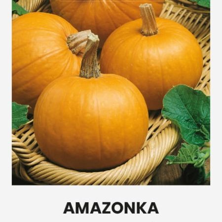 MOLIŪGAI AMAZONKA