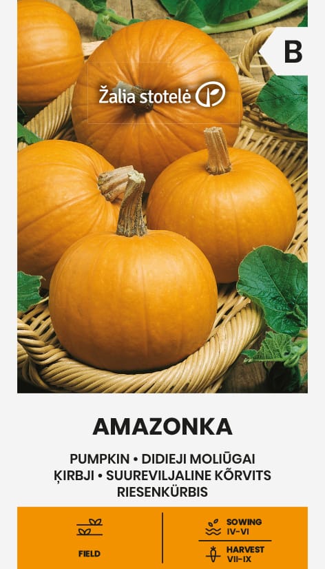 MOLIŪGAI AMAZONKA