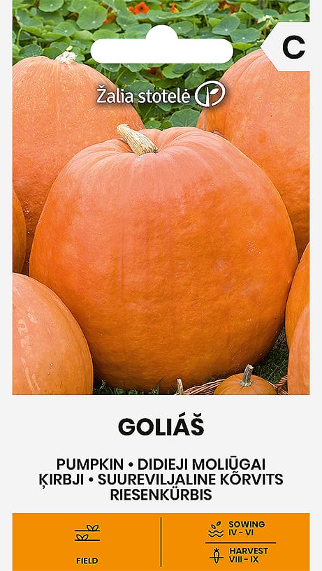 MOLIŪGAI DIDIEJI GOLIÁŠ