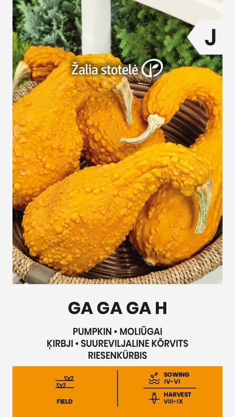 MOLIŪGAI GA GA GA H