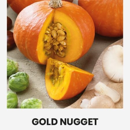 MOLIŪGAI GOLD NUGGET