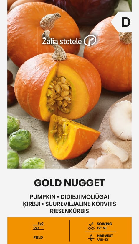 MOLIŪGAI GOLD NUGGET