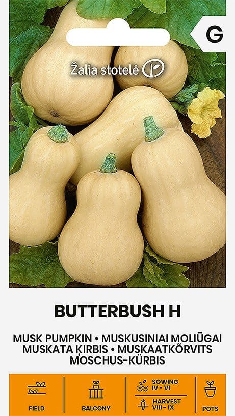 MOLIŪGAI MUSKUSINIAI BUTTERBUSH H