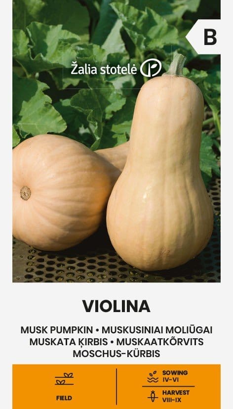 MOLIŪGAI MUSKUSINIAI VIOLINA