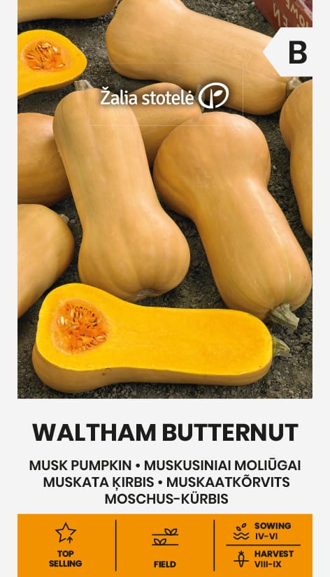 MOLIŪGAI MUSKUSINIAI WALTHAM BUTTERNUT