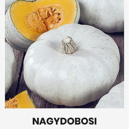 MOLIŪGAI NAGYDOBOSI