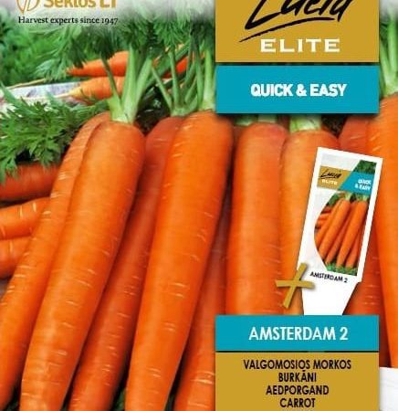 MORKOS VALGOMOSIOS AMSTERDAM 2