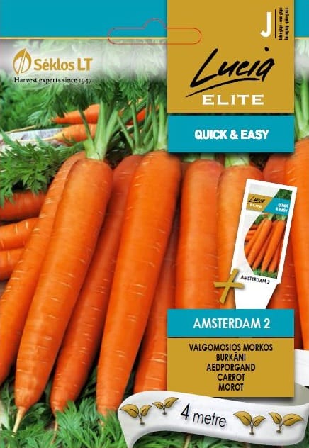 MORKOS VALGOMOSIOS AMSTERDAM 2