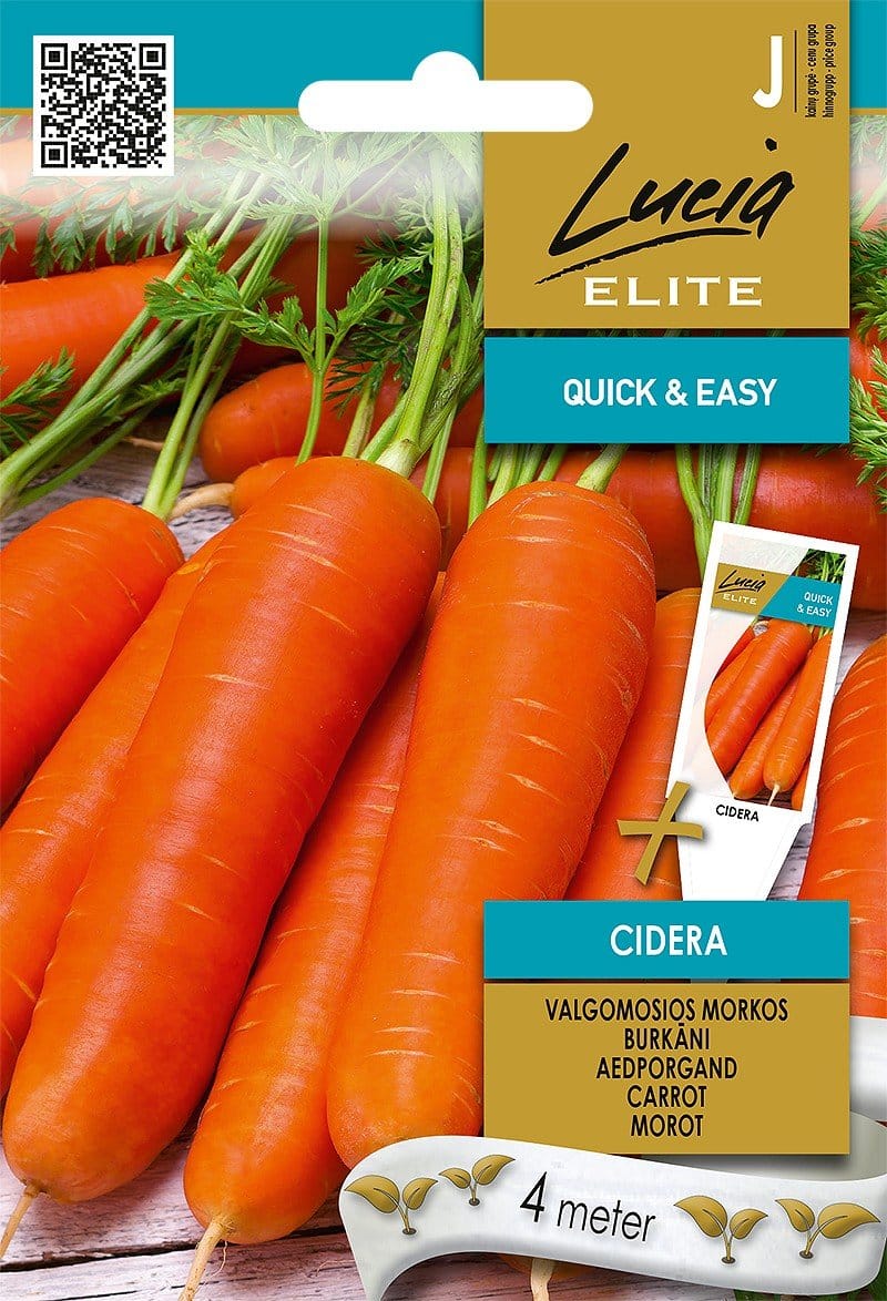MORKOS VALGOMOSIOS CIDERA