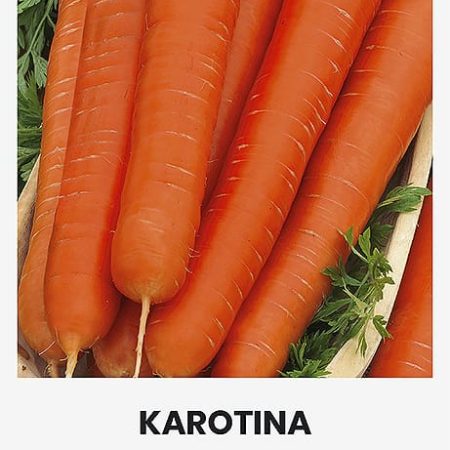 MORKOS VALGOMOSIOS KAROTINA