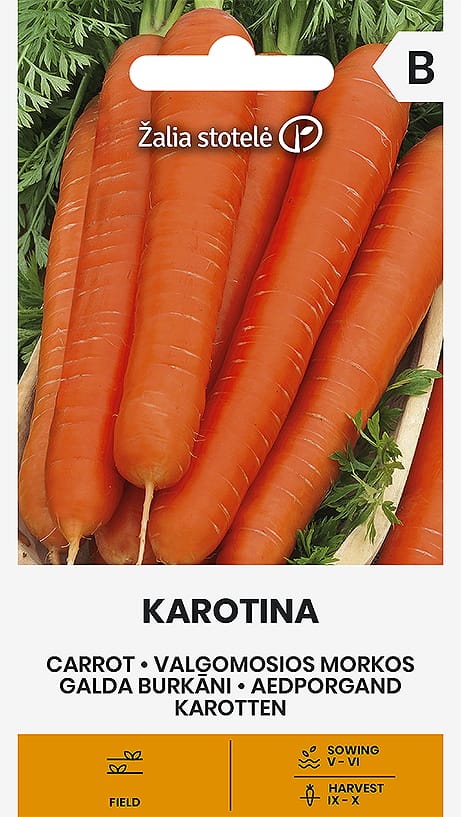 MORKOS VALGOMOSIOS KAROTINA