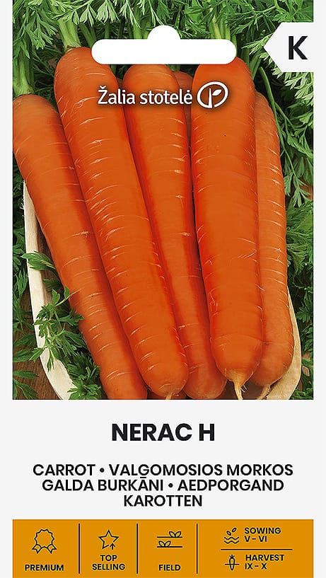 MORKOS VALGOMOSIOS NERAC H
