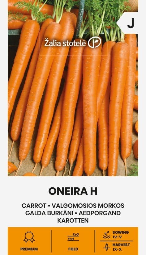 MORKOS VALGOMOSIOS ONEIRA H