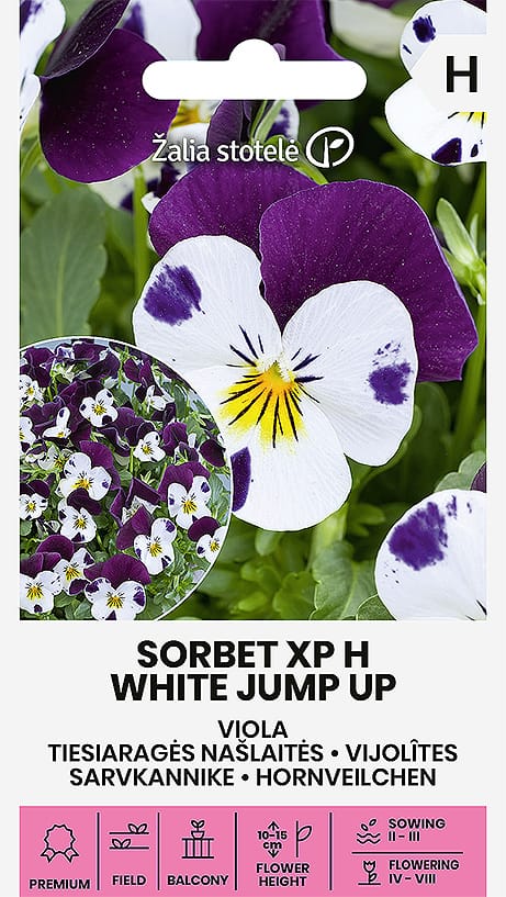 NAŠLAITĖS TIESIARAGĖS SORBET XP H WHITE JUMP UP