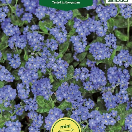 NEUŽMIRŠTUOLĖS ALPINĖS BLUE BALL