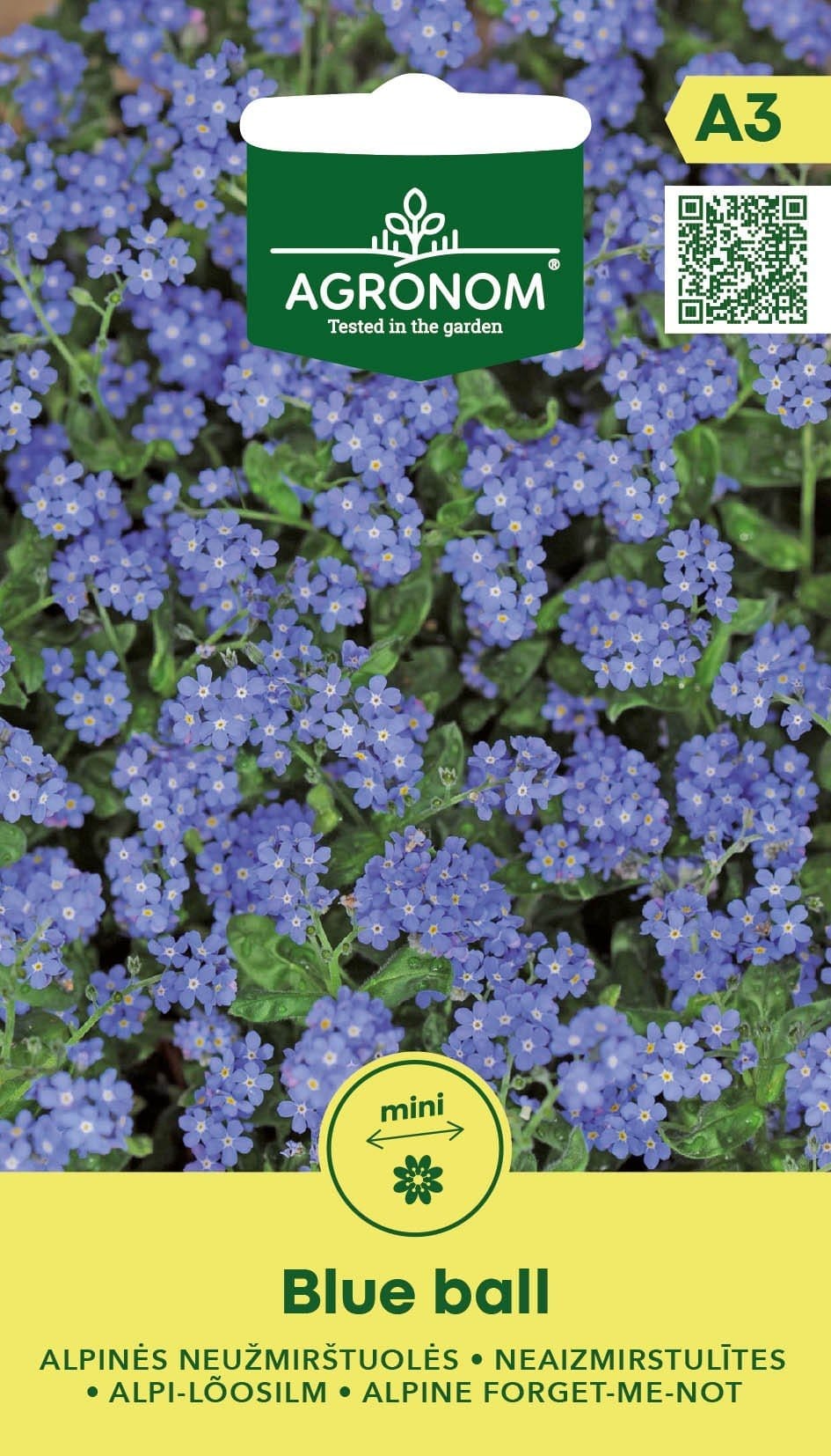 NEUŽMIRŠTUOLĖS ALPINĖS BLUE BALL