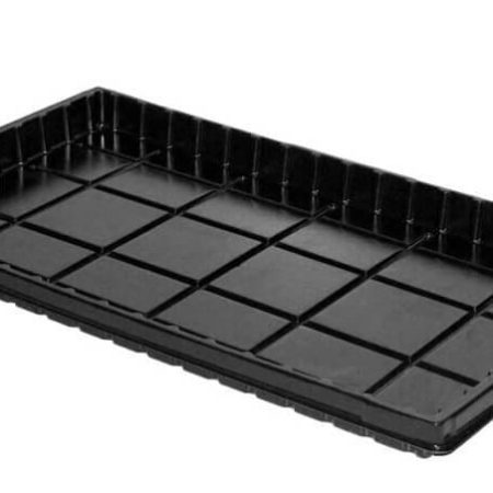 PADĖKLAS DAIGINIMUI 52CM