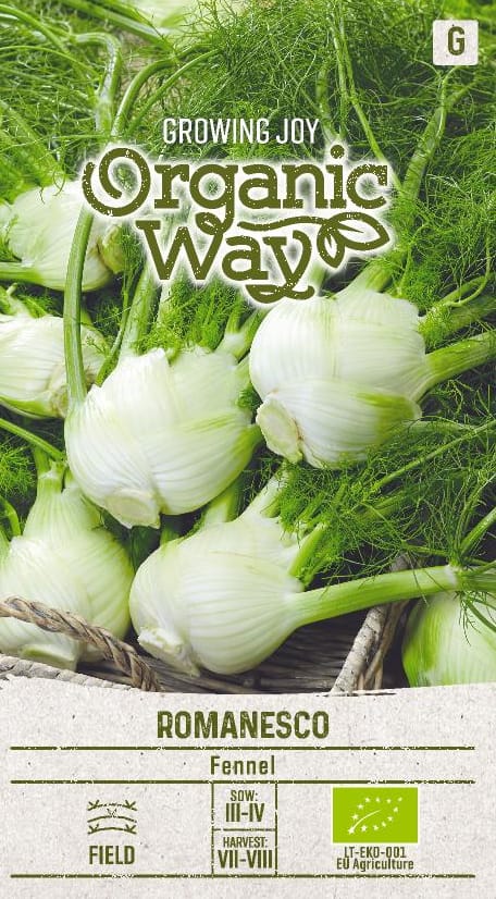 PAPRASTIEJI PANKOLIAI ROMANESCO