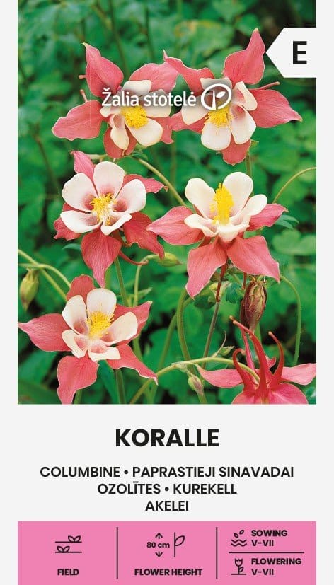 PAPRASTIEJI SINAVADAI KORALLE