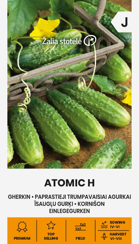PAPRASTIEJI TRUMPAVAISIAI AGURKAI ATOMIC H