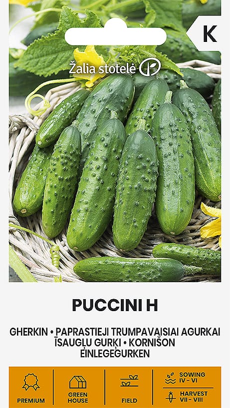PAPRASTIEJI TRUMPAVAISIAI AGURKAI PUCCINI H