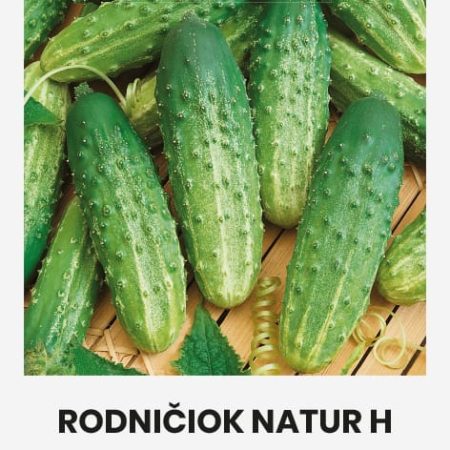 PAPRASTIEJI TRUMPAVAISIAI AGURKAI RODNIČIOK NATUR H