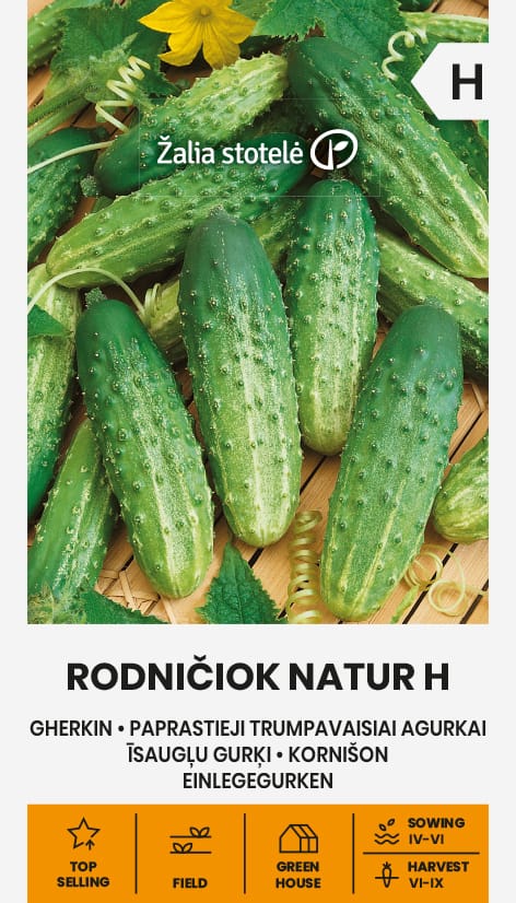PAPRASTIEJI TRUMPAVAISIAI AGURKAI RODNIČIOK NATUR H