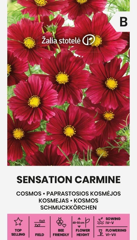 PAPRASTOSIOS KOSMĖJOS - Image 2