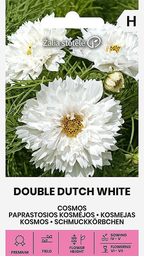 PAPRASTOSIOS KOSMĖJOS DOUBLE DUTCH WHITE