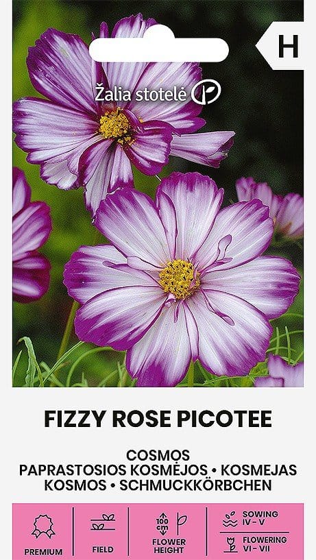 PAPRASTOSIOS KOSMĖJOS FIZZY ROSE PICOTEE