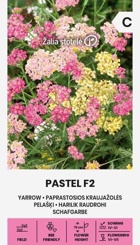 PAPRASTOSIOS KRAUJAŽOLĖS PASTEL F2