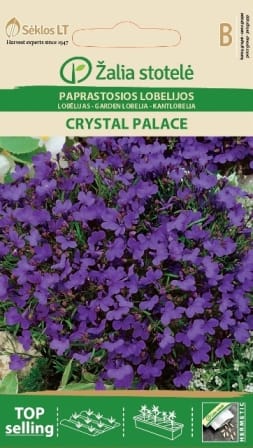 PAPRASTOSIOS LOBELIJOS CRYSTAL PALACE