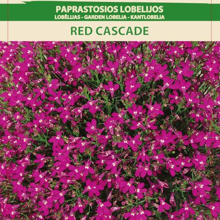 PAPRASTOSIOS LOBELIJOS RED CASCADE