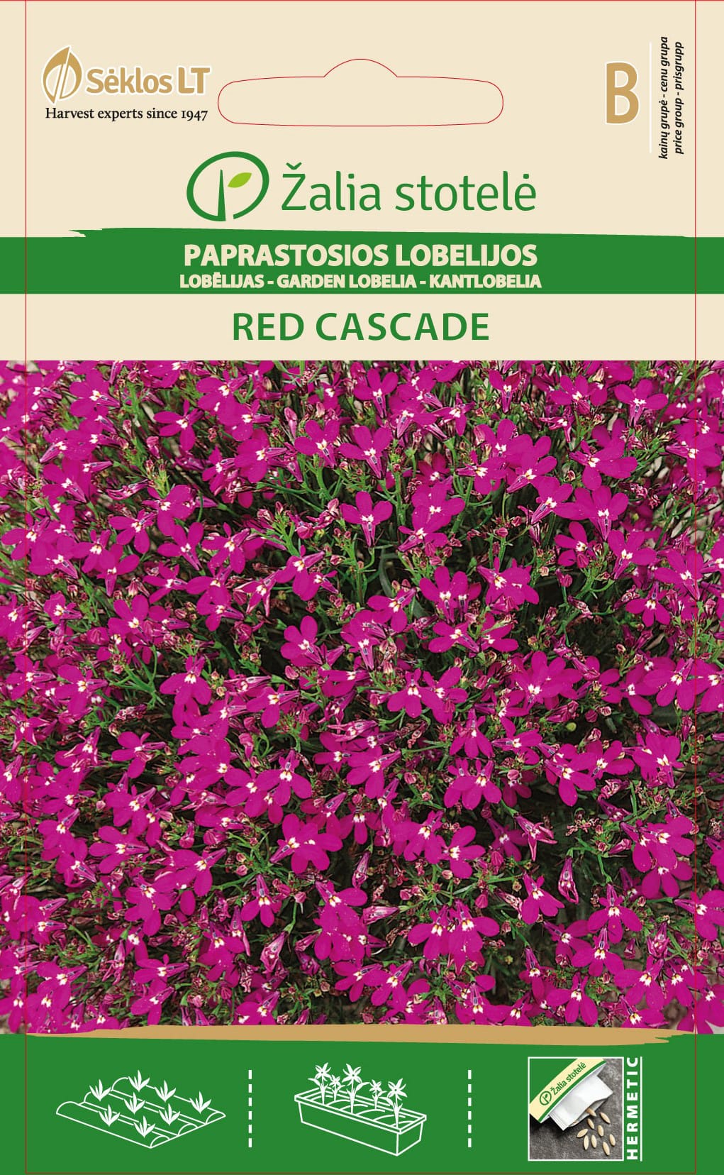 PAPRASTOSIOS LOBELIJOS RED CASCADE