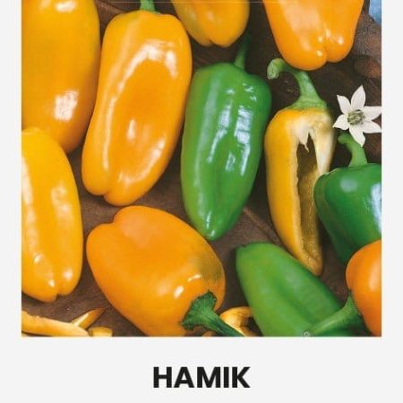 PAPRIKA VIENAMETĖ HAMIK