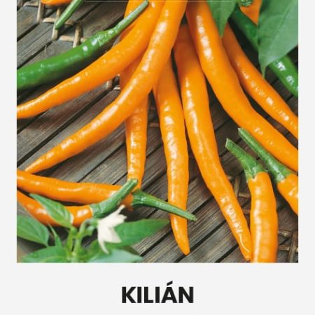 PAPRIKA VIENAMETĖ KILIAN