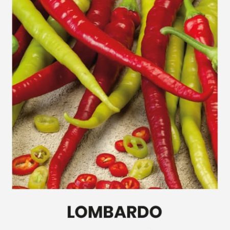 PAPRIKA VIENAMETĖ LOMBARDO