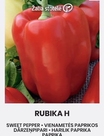 PAPRIKA VIENAMETĖ RUBIKA H