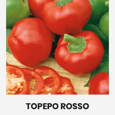 PAPRIKA VIENAMETĖ TOPEPO ROSSO