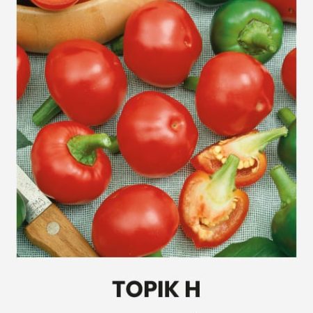 PAPRIKA VIENAMETĖ TOPIK H