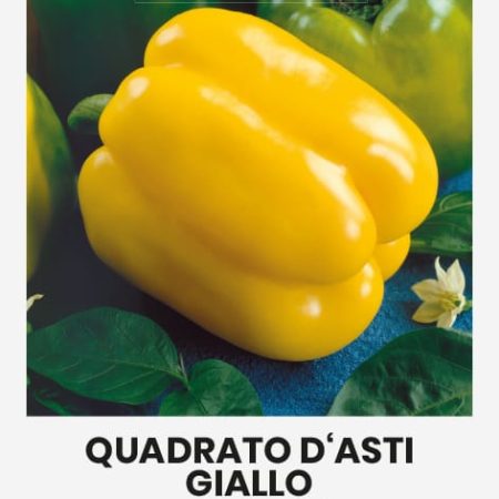 PAPRIKOS VIENAMETĖS QUADRATO D ASTI GIALLO