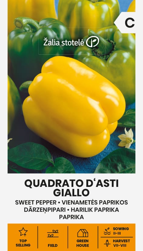 PAPRIKOS VIENAMETĖS QUADRATO D ASTI GIALLO